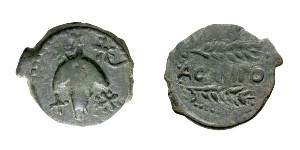 Roman coins from Acinipo Ronda