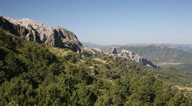 Guided excursions and white villages of the Sierra de Grazalema