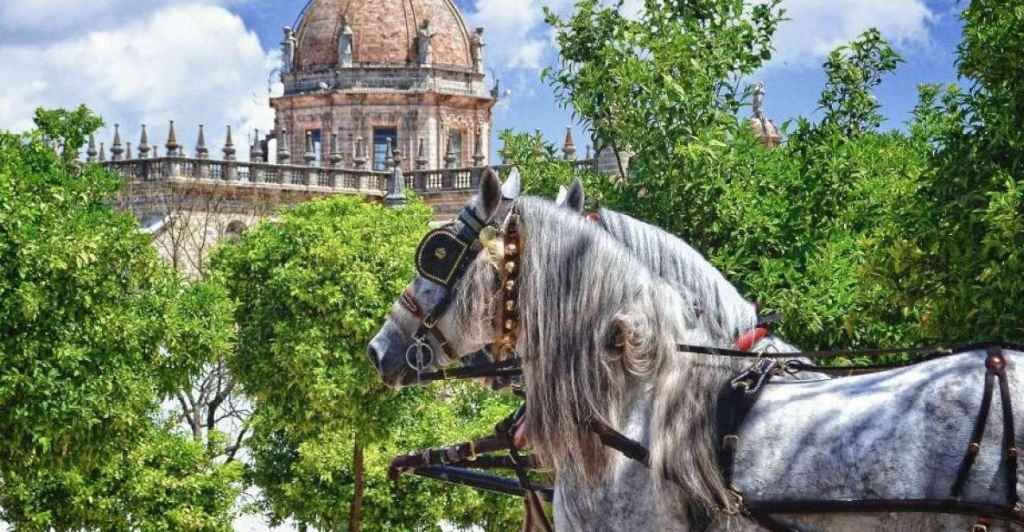 A day trip to Jerez de la Frontera from Ronda