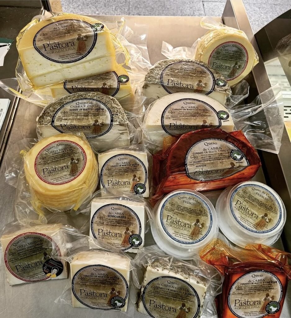 Payoyo goats cheese
