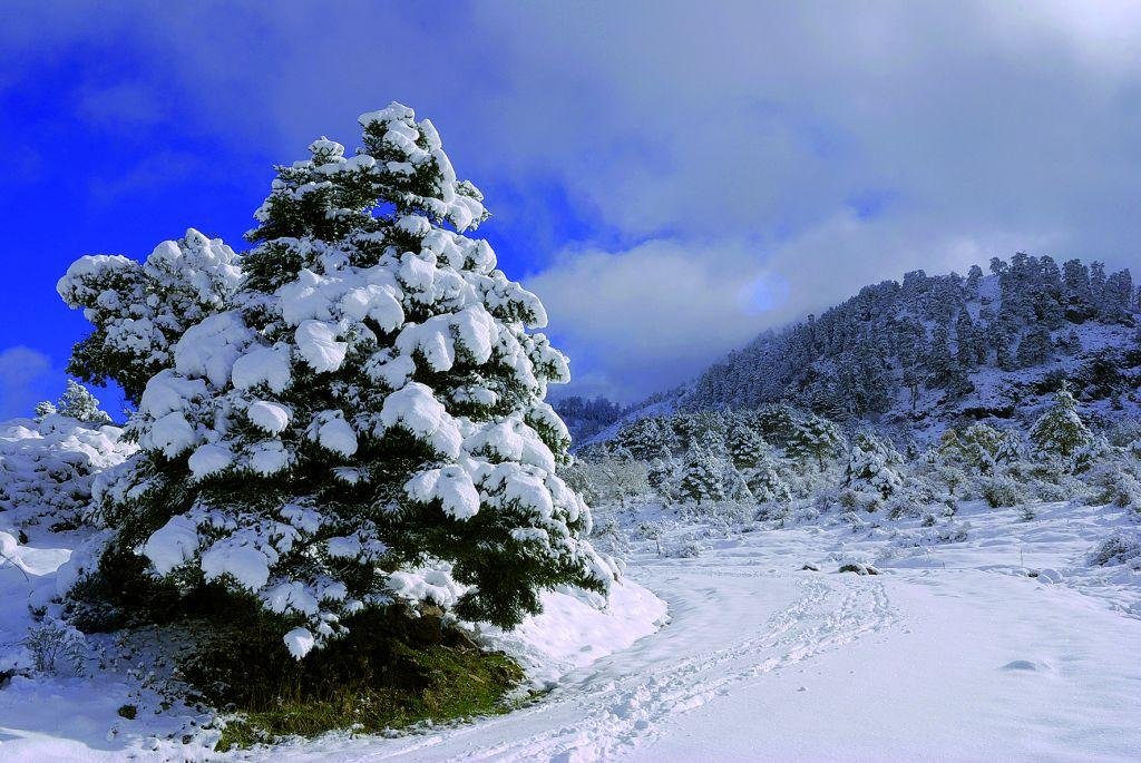 Sierra de las Nieves National park