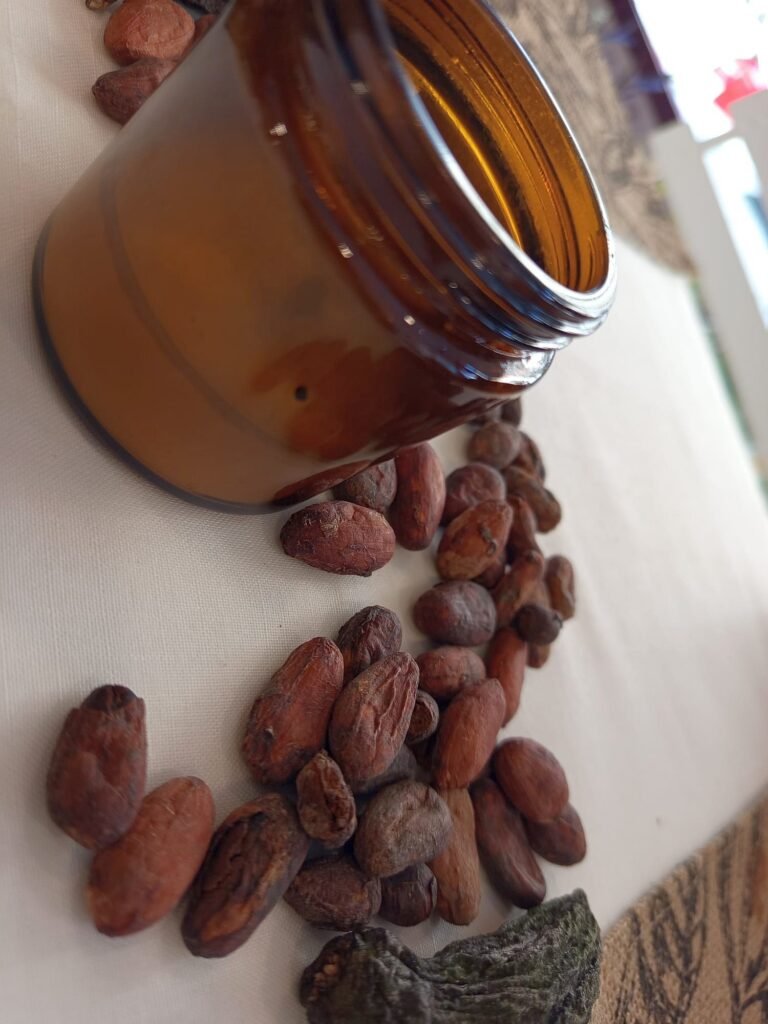 Cacao beans in Sumay cacao in Ronda