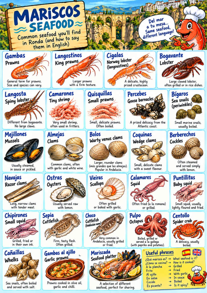 Spanish to English guide to seafood in Ronda, including prawns, lobster, mussels, clams, squid and octopus.