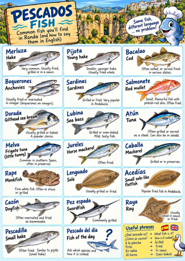 Spanish to English guide to common fish found on menus in Ronda, including hake, sea bream, sea bass and sardines.